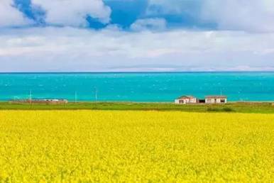 1596875851363297.jpg 青海
